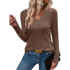 ANRABESS Womens Long Sleeve Shirts V Neck Lightweight Sweater Tops 2025 Fall Dressy Casual Work Tunic Blouse(Brown)